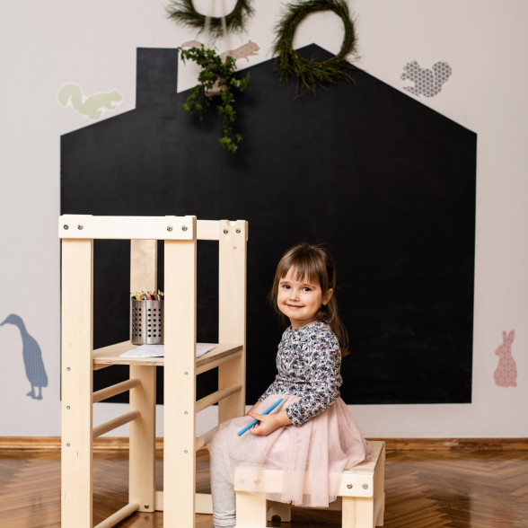 Educational Toys